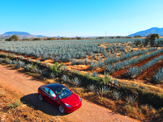 Avis la primera arrendadora con autos eléctricos Tesla en Latinoamérica