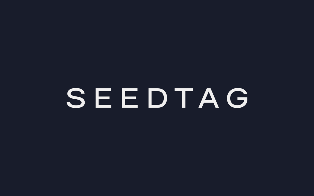 Seedtag: "¿Quién eres según lo que haces en navidad?"