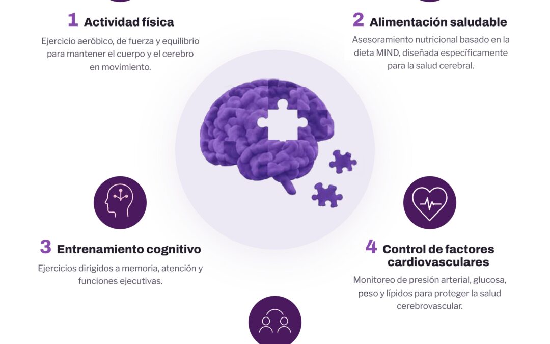 Estudio científico muestra que cinco hábitos cotidianos mejoran la salud cognitiva en adultos mayores