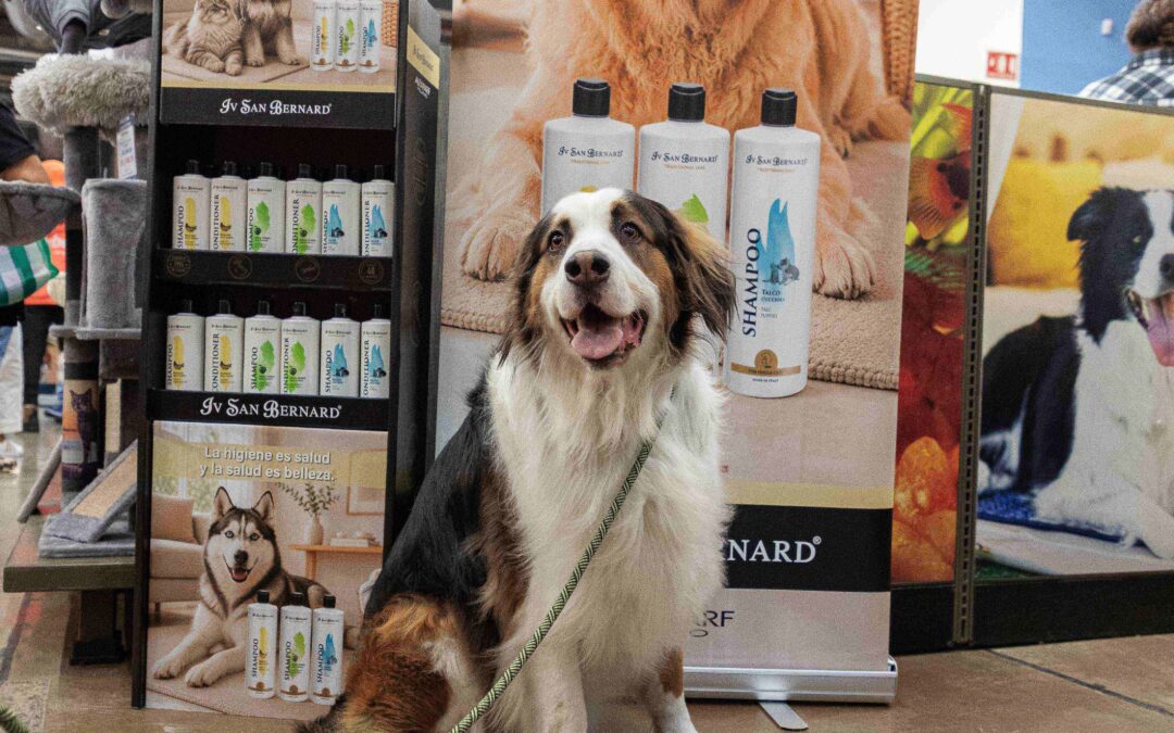Petco impulsa el segmento premium con marcas especializadas para el bienestar de las mascotas