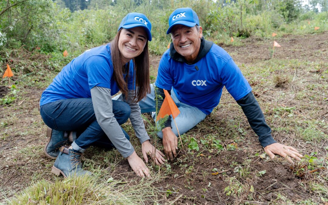 Cox planta 12,000 árboles en seis estados de México con acciones de voluntariado