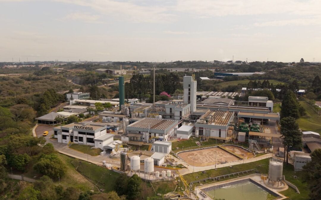 Novonesis: biosoluciones en México crecerían más de 130 % y abrirían oportunidad de 12 mil millones de euros